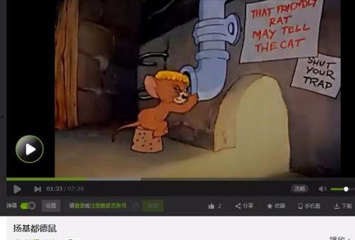 番鼠爆料视频在线观看,揭秘幕后真相，带你领略网络世界的真实面貌  第1张